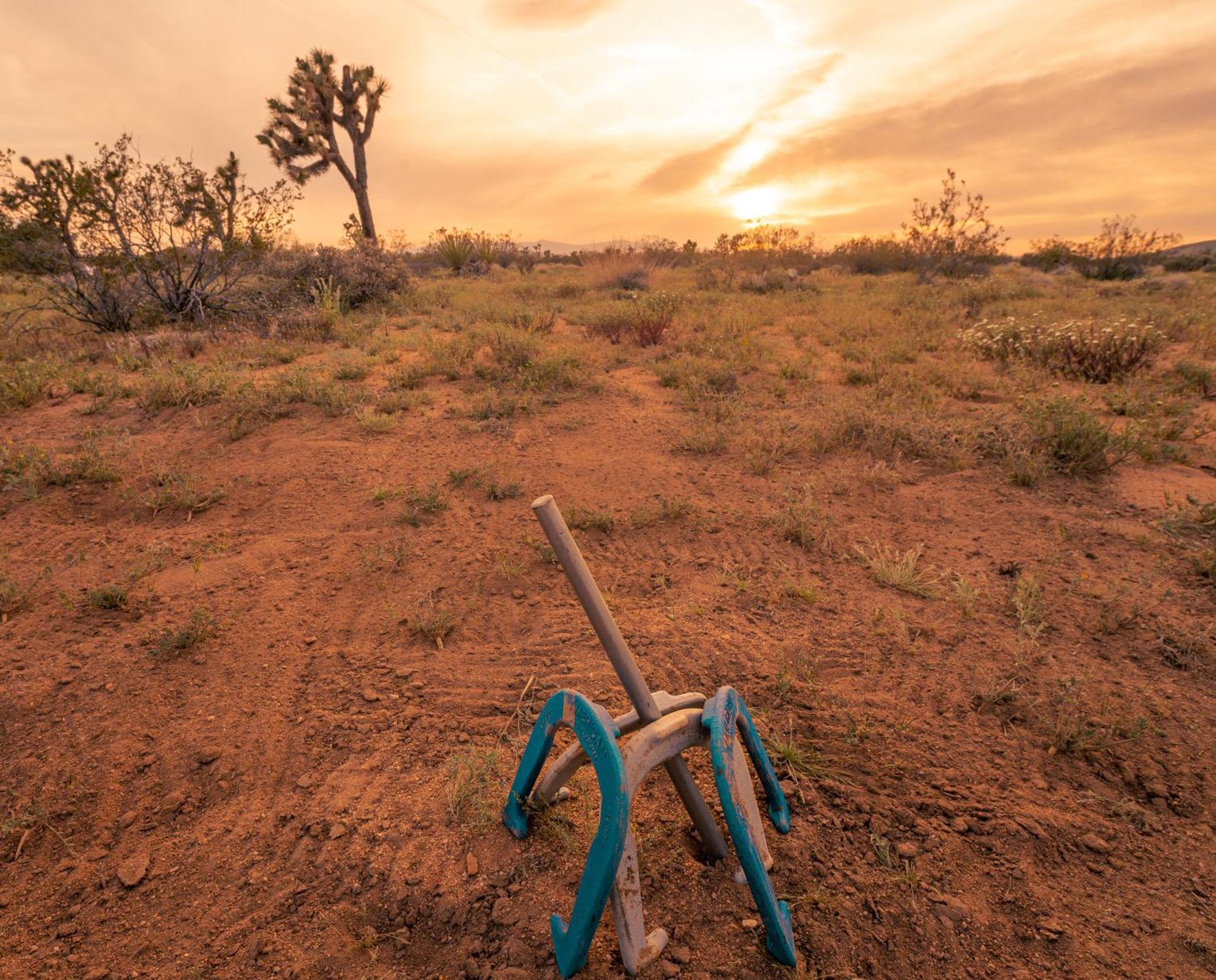 Coyote Tracks - A Modern Desert Experience Villa Joshua Tree Ngoại thất bức ảnh